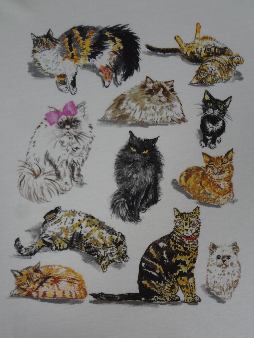 J.CREW CATS CAT GRAPHIC TEE VARIOUS BREEDS WHITE WOMENS XL T-SHIRT L950